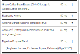 Screenshot 2025-10-01 214044